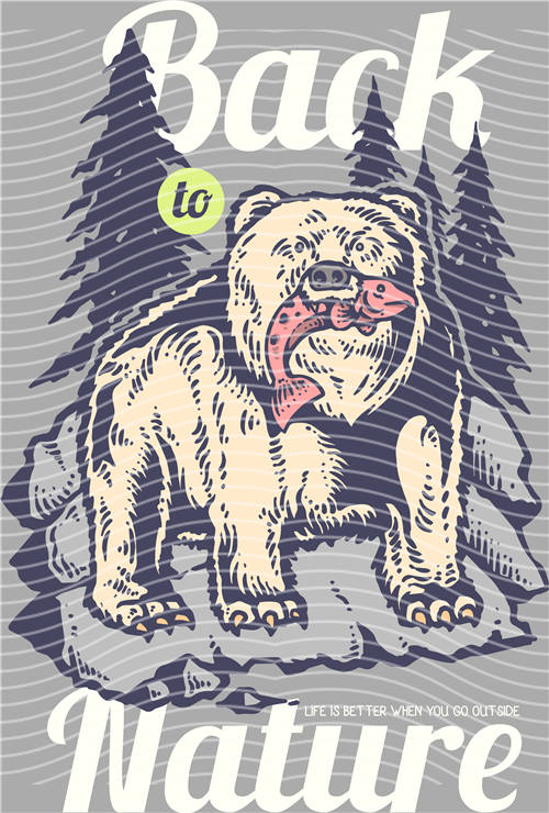 Street design-JT 4539